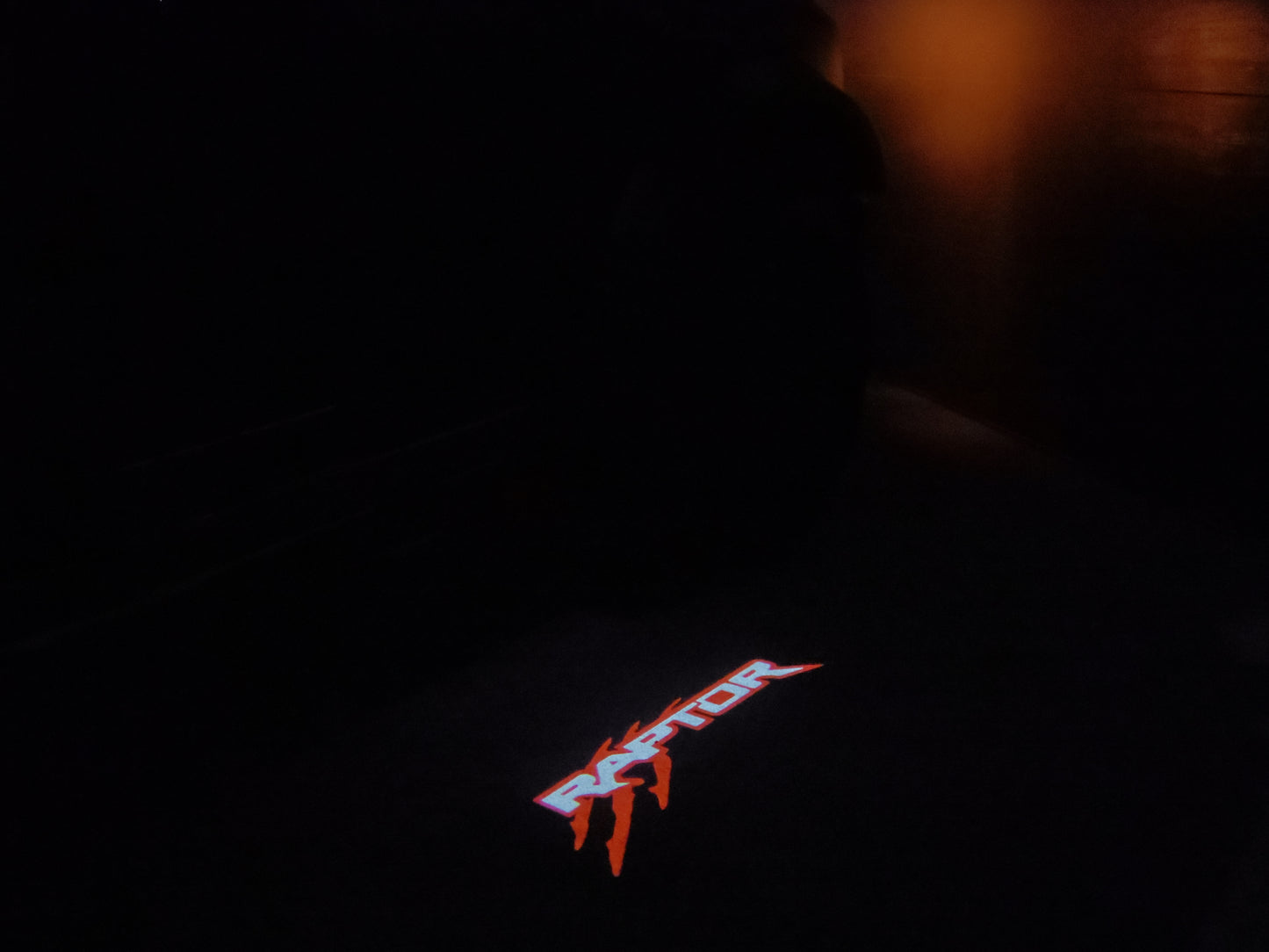“Raptor”- Puddle Light/Welcome Light