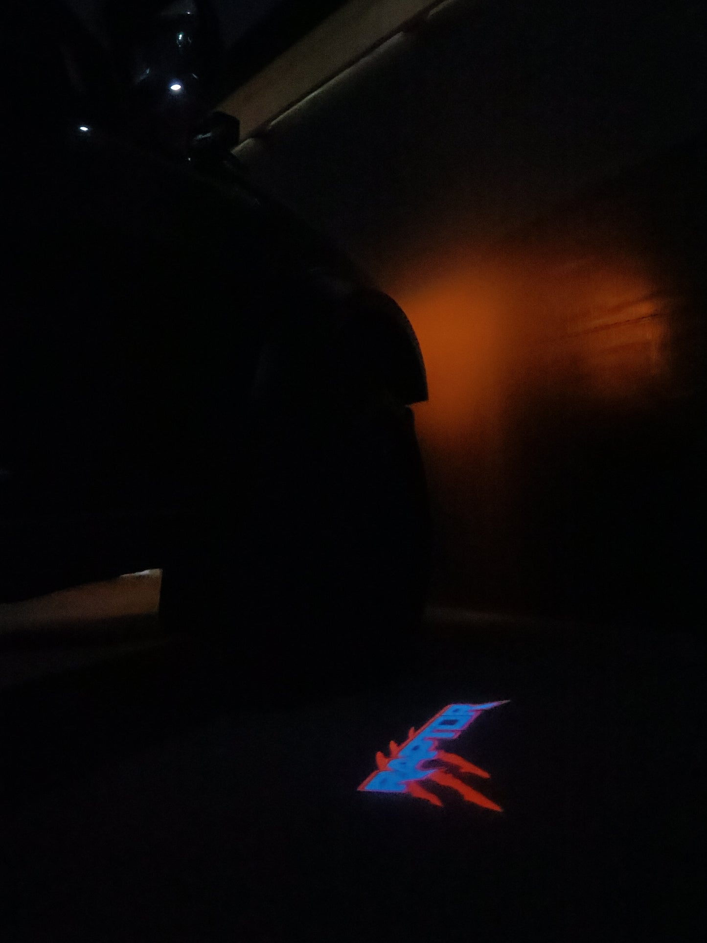 “Raptor”- Puddle Light/Welcome Light