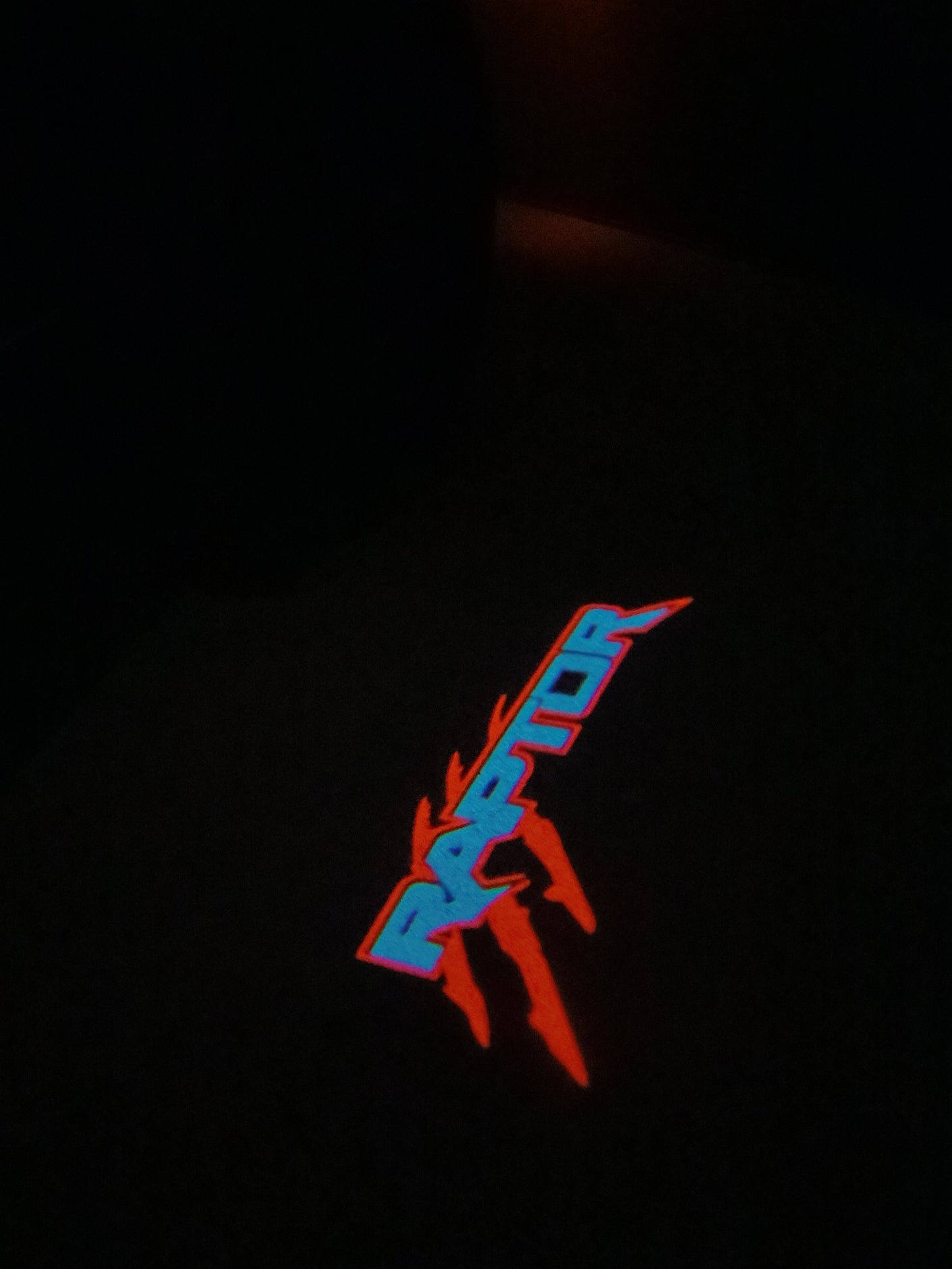 “Raptor”- Puddle Light/Welcome Light