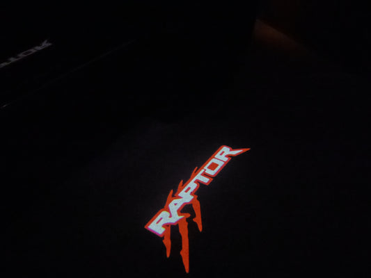 “Raptor”- Puddle Light/Welcome Light